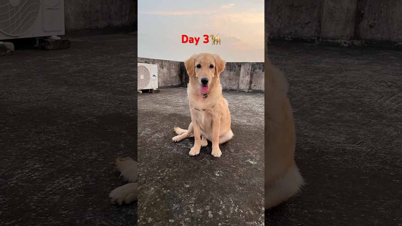 Day3 ￼ training time, 🥰 