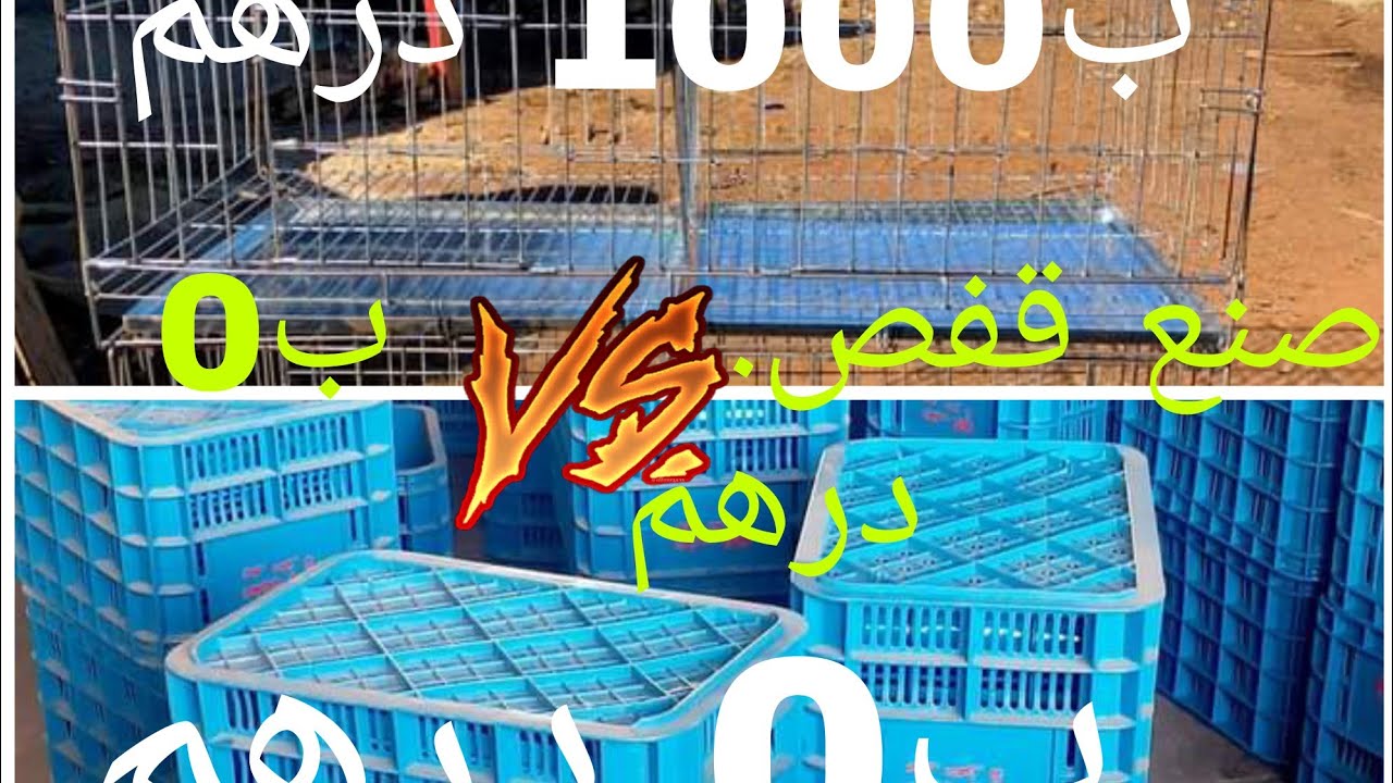 صنع قفص حمام ب0 درهم بأسهل طريقة🕊️🕊️