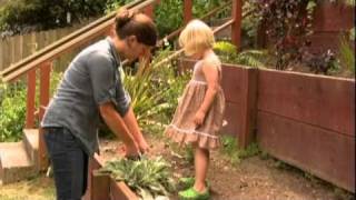 Slow the Flow - Make Your Landscape Act Like a Sponge