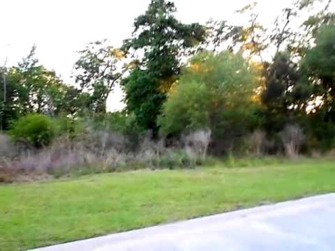 4 Kalynne Way, Ludowici, GA home video tour