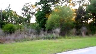 4 Kalynne Way video tour