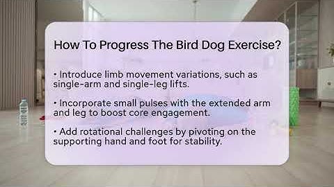 How To Progress The Bird Dog Exercise? - Orthopedic Support Network
