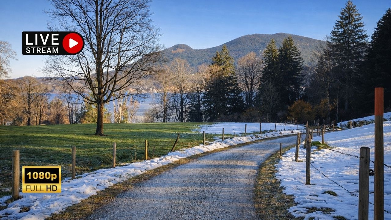LIVE Bavaria: Scenic Walk from Gmund am Tegernsee to Bad Wiessee 