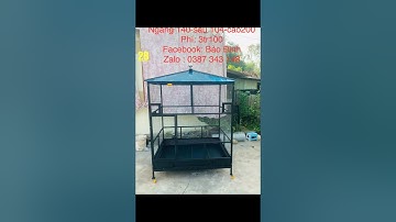 Lồng chim avi .LH .0387343148 để đc tư vấn và đặt hàng