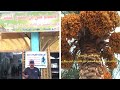 حوش التمر الزهدي في مرقد حفيد الامام الحسن المجتبئ إبن علي ابن ابي طالب ع حوش التمر الزهدي في مرقد حفيد الامام الحسن المجتبئ إبن علي ابن ابي طالب ع