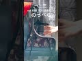 【一ニ三】feat.初音ミク • 鏡音リン「のっぺら」をちょっとだけ弾いてみました。#Shorts