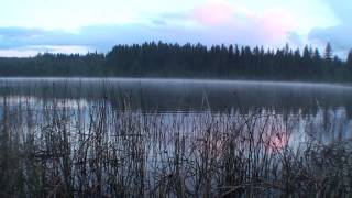 Fly Max Films Episode #6 - HUGE Stillwater Rainbows in BC