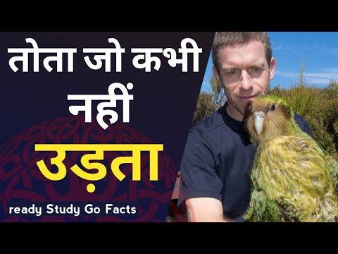 ना उड़ने वाला तोता l Kakapo can't fly. l parrot can't fly l