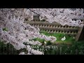 故郷ありてこそ/小柳ルミ子