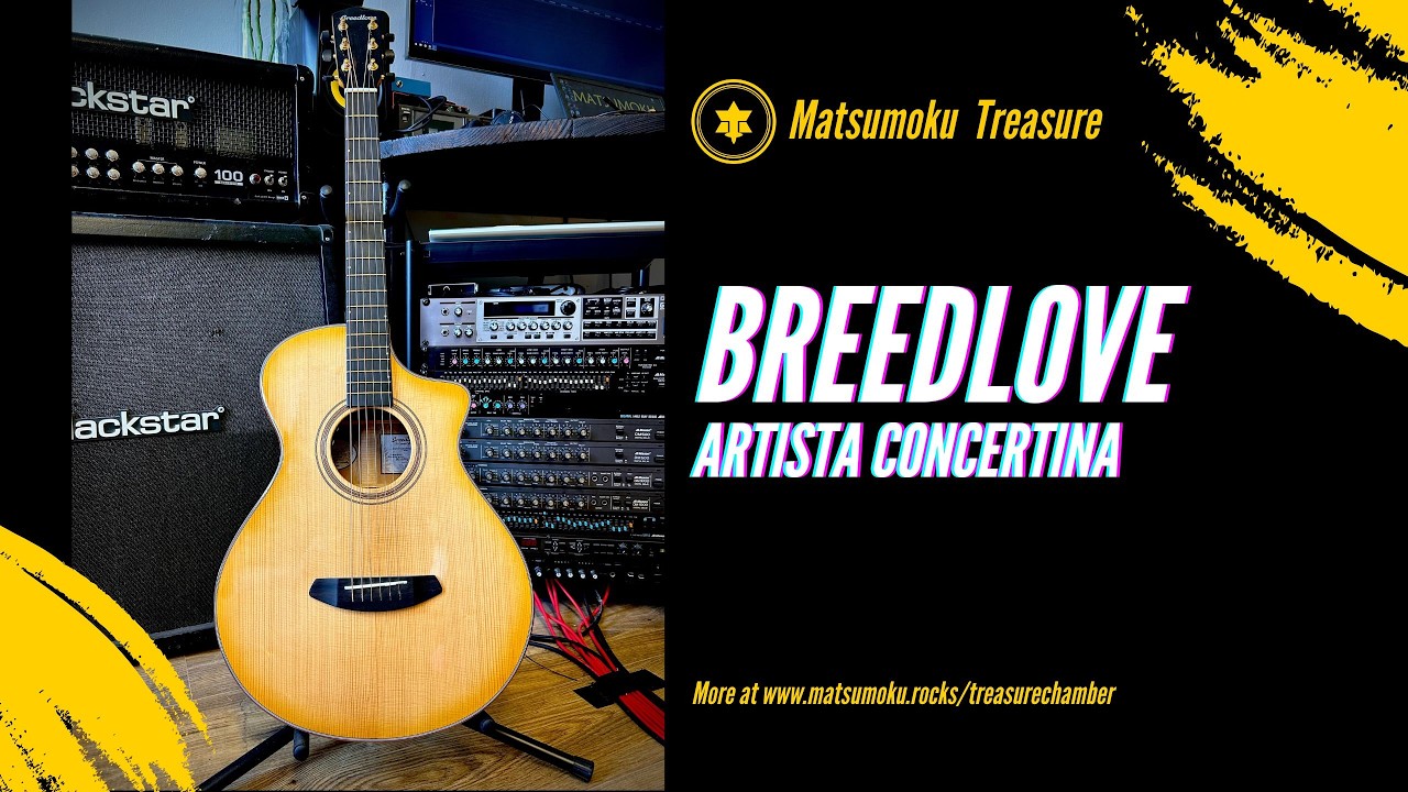 BREEDLOVE ARTISTA DEMO