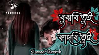 বুঝবি তুই কাদবি তুই bujbi tui kadbi tui (slowed reverb )