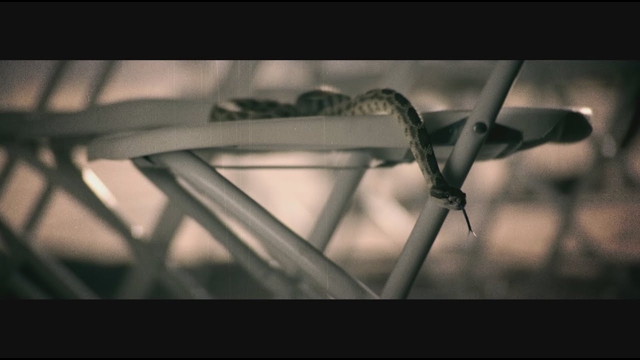 YouTube player