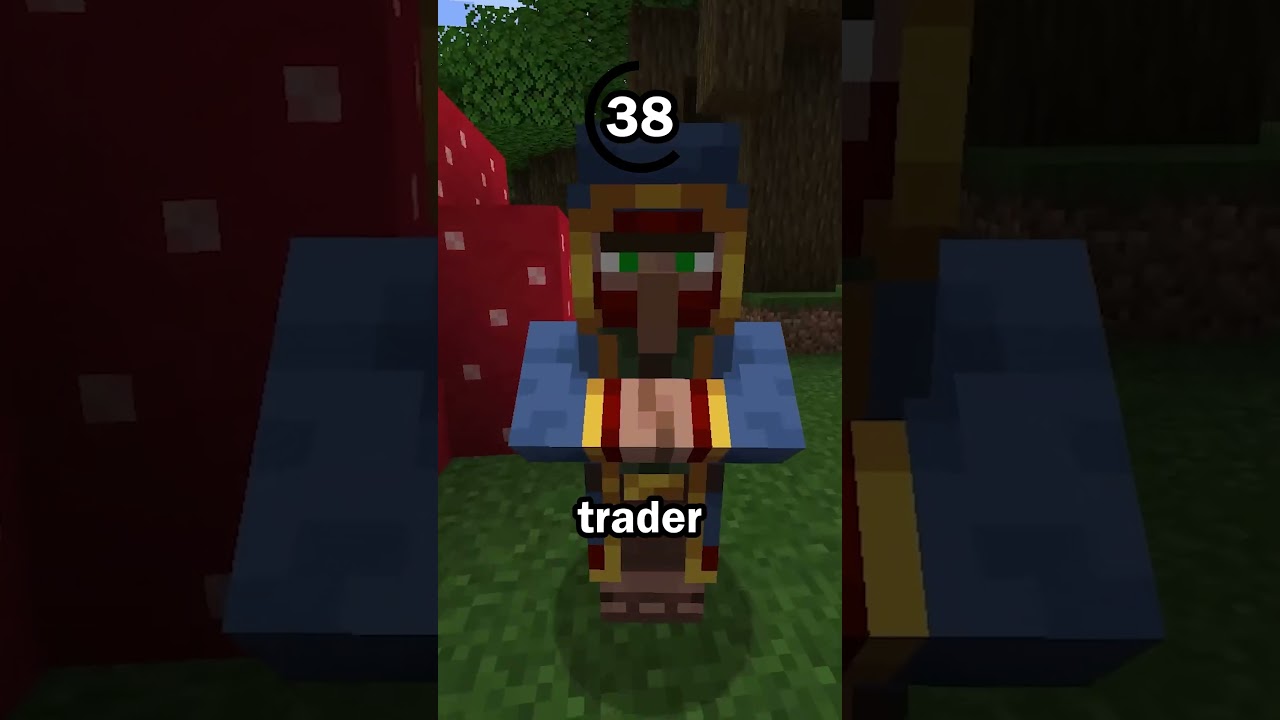 Guess the Minecraft block in 60 seconds 23