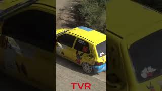Rally Terra Sarda 2023  #foryou #rally #rallycar #cars #wrc #renault #renaultsport #cliors #shorts