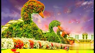 Beautyful garden Background No Copyright Videos [ No Saund No Music ]. screenshot 2