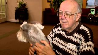 Non Profit Organization Dog Therapy