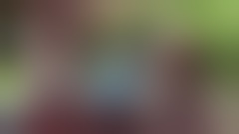 ADIWIYATA || SMP N 48 JAKARTA 🏫 [KELOMPOK 7] TUGAS INFORMATIKA MEMBUAT MINI VLOG 📸🎥