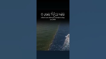 القران الكريم// مرج البحرين يلتقيان 💙 حالات واتساب دينيه 🌸