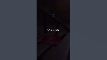 سورة الزمر 💙#حالات_واتساب #حالات_دينية #حالات_واتس #قرآن #حالات