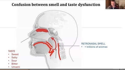 Towards an understanding of taste disturbance for patients and professionals. 20 Nov 2024.