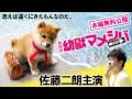 【🎬無料配信中】『劇場版 幼獣マメシバ望郷篇』初めて自らの意思で“旅に出た”二郎。スーパー40歳児、芝二郎と幼獣のマメシバ一郎が巻き起こす笑って泣ける“迷子の大人”アドベンチャー！