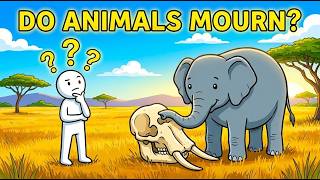 Why Animals Mourn Their Dead | Do Animals Understand Death?