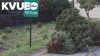 Where to recycle your real Christmas tree in Austin