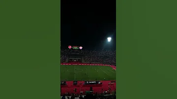 ومن زمان في الدم حب الاهلي 