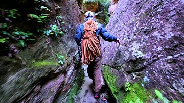 BLUETOPIA TRAILER ORIGINAL