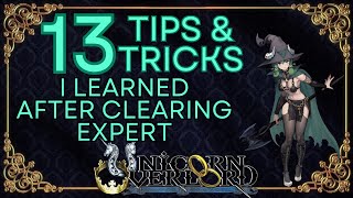 Tips & Tricks I learned After Clearing Expert Unicorn Overlord