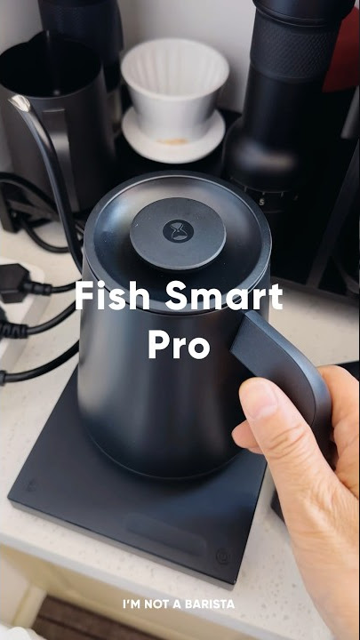 Govee smart kettle. One use and I'm never getting anything else