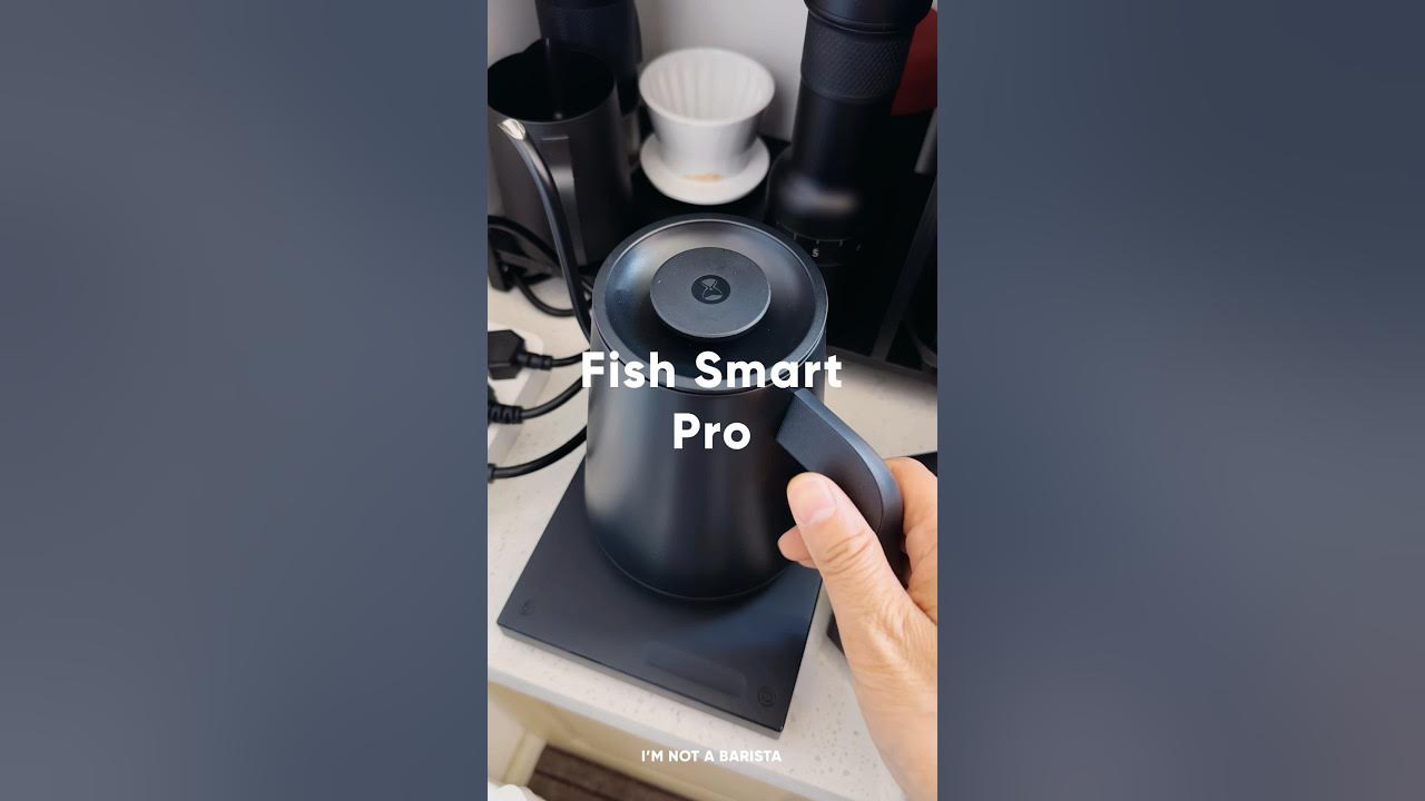 TIMEMORE Smart Mini Fish Electric Pour Over Kettle 600ml 220V Gooseneck  Variable Kettle Temperature Control Hand Brew Coffee Pot