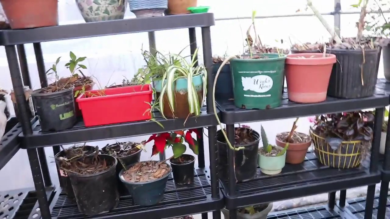 MaxIt Adjustable Storage Shelving Review YouTube