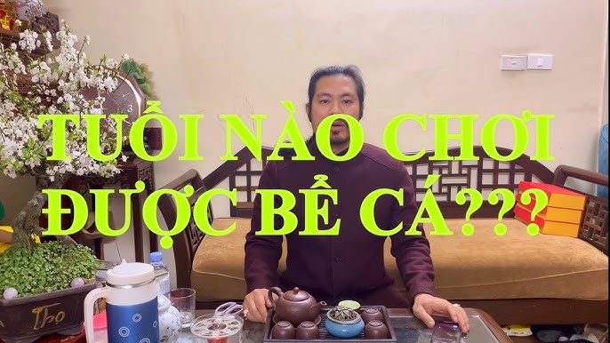 Tuổi Nào Chơi Được Bể Cá? Tìm Hiểu Những Điều Cần Biết Cho Trẻ Em