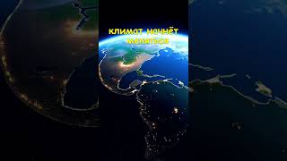 🌍 Что будет, если люди исчезнут с Земли? #исчезновение #чтоесли #постапокалипсис #научныефакты