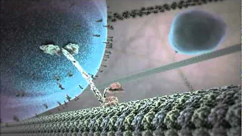 The Inner Life of the Cell Animation - DayDayNews