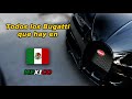 Todo lo que no sabías de los Bugatti que hay en México | Los unicornios Mexicanos 🦄