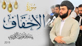 سورة الأحقاف كاملة -بيشةوا قادر الكردى رمضان_2019