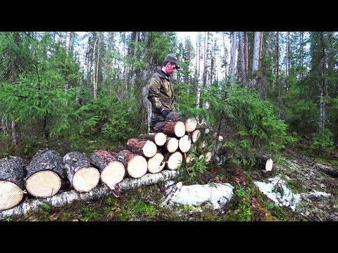 Заготовил дрова на осеннюю охоту /Весенняя охота 2022 / Фильм 3 (13 серия)