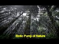 What is the BIOTIC PUMP of Ecosystem | Biotic Pump of Nature | Ecology Biodiversity | global warming