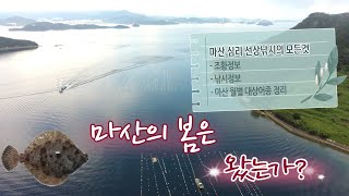 남해, 바다낚시 (경남 창원 마산 심리 도다리낚시) 계절별 대상어종 설명