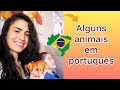 Nome de alguns animais. Aprender português