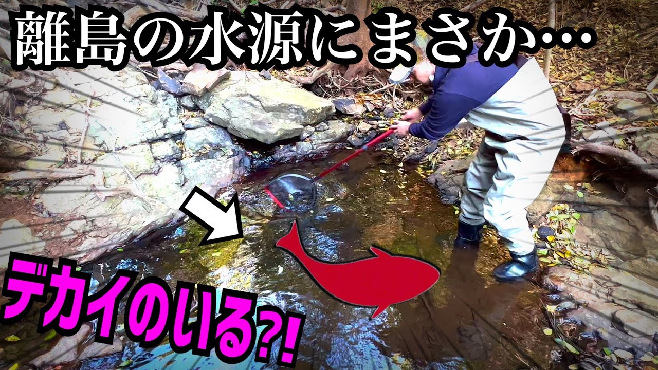 川が無い離島で水源発見！ワクワクが止まらない…【離島ガサガサ編１】