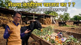 शळ नमक खत कय ?? Arvee Goat Farm Dharashiv Osmanabadi Goat Farm Maharashtra