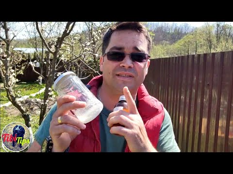 Video: Sal boraks miere doodmaak?