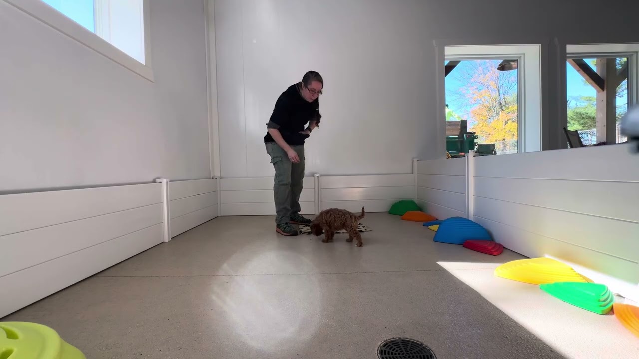 Soho Training Session 10/28