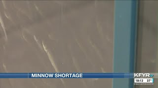Gas stations may experience bait shortages due to winter kill