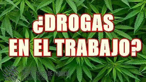 ¿Cuál es la prueba de detección de drogas previa al empleo más común?