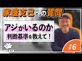 【34】アジがいるのか判断基準を教えて!【アジングQ&A#6】