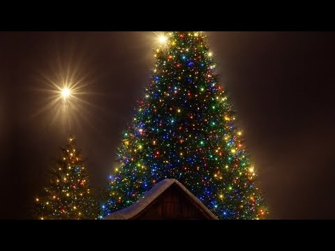 Christmas 🎵 🎶 song compilations♥️ Merry Xmas to each and everyone!